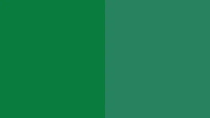 Solvent Green 28 / Solvent Dyes - Honor Pigment
